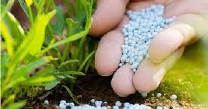 ۷۷درصد از برنامه ابلاغی انجام شده است/ توزیع کود با همان قیمت قبلی