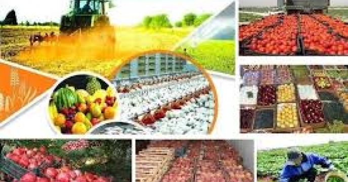 تشریح عملکرد شرکت خدمات حمایتی قم در تامین نهاده‌های باغبانی و زراعی