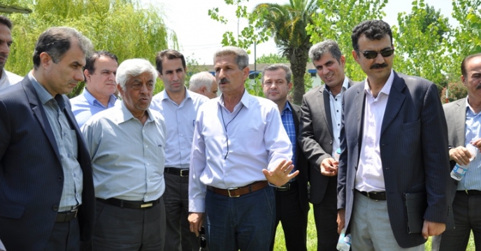 ارائه گزارش کود و بذر  به معاون وزیر جهاد کشاورزی