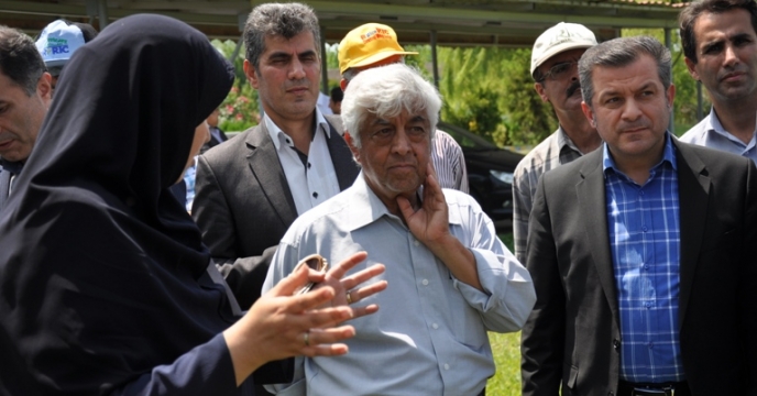 هوشمند سازی تولید برنج در استان گیلان