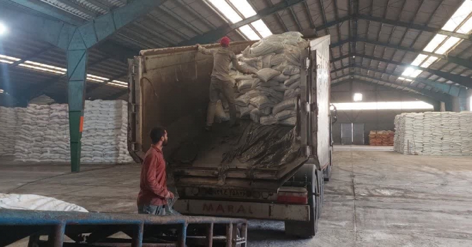 بیش از 3778 تن انواع نهاده‌های کشاورزی بین کارگزاران شهرستان لاهیجان از آغاز سال جاری تا پایان مرداد ماه توزیع شد