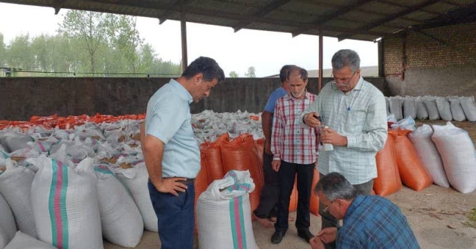 بازدید کارشناس ناظر فنی به همراه نمایندگان شرکت از بذور بارگیری شده
