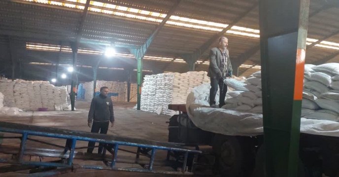 شرکت خدمات حمایتی کشاورزی استان گیلان در پنج ماه نخست سال جاری بیش از  2584 تن کود کشاورزی به مقصد انبار کارگزاران در شهرستان فومن توزیع کرد