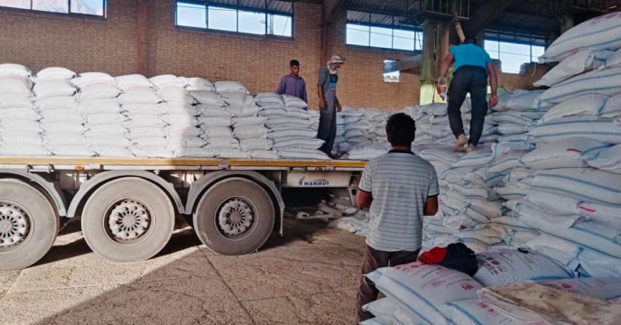 استمرار عملیات تخلیه کود دی آمونیوم فسفات تولیدی مجتمع پتروشیمی رازی در انبارهای سازمانی نمایندگی داراب 