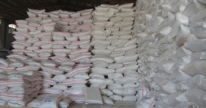 حمل و توزیع بیش از 432 تن کود کشاورزی پتاس بین کشاورزان شهرستان دهلران