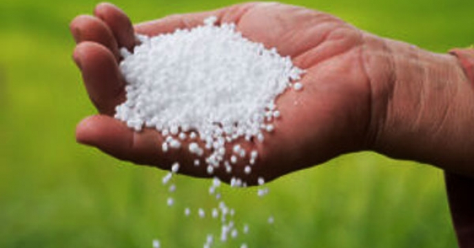 حمل و توزیع بیش از 930 تن کود اوره در آذر ماه سال جاری از مبادی پتروشیمی بندر امام در سطح استان قزوین