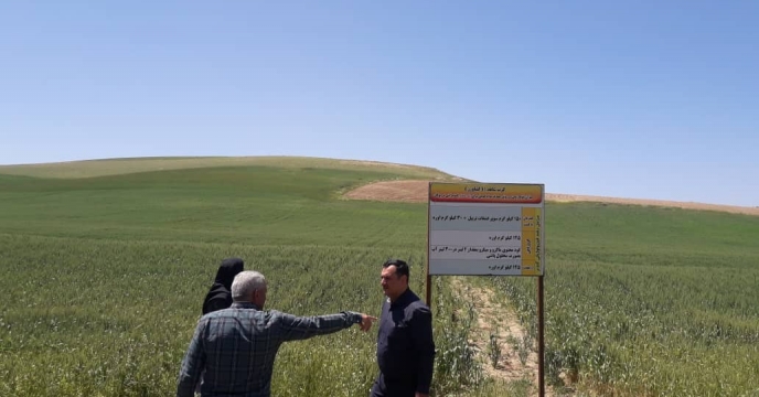 بازدید از طرح پایلوت تغذیه گیاهی در شهرستان بوکان
