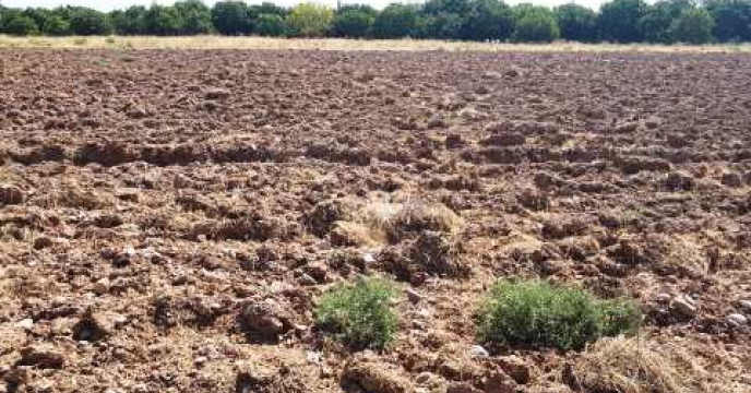 انجام نمونه برداری از خاک مزرعه شبستر واقع در استان آذربایجان شرقی