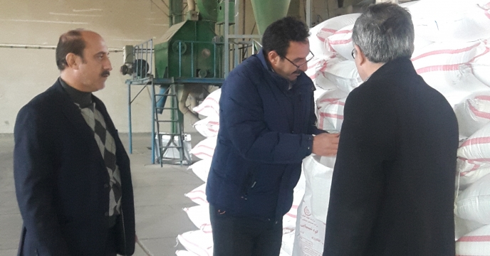 بازدید مدیر استان از انبارهای سازمانی شرکت
