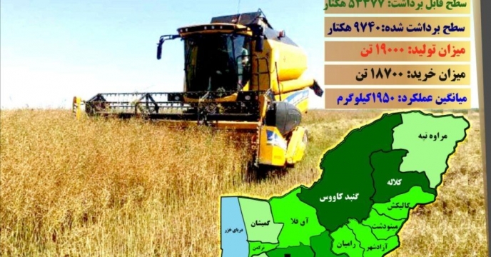 وضعیت کشت، سطح و میزان برداشت کلزا در گلستان
