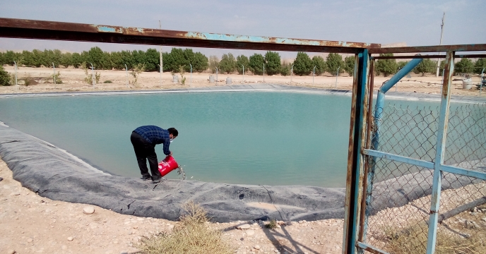 اصول کودهی در استخرهای پرورش ماهیان کپور توسط شرکت خدمات حمایتی کشاورزی استان گیلان