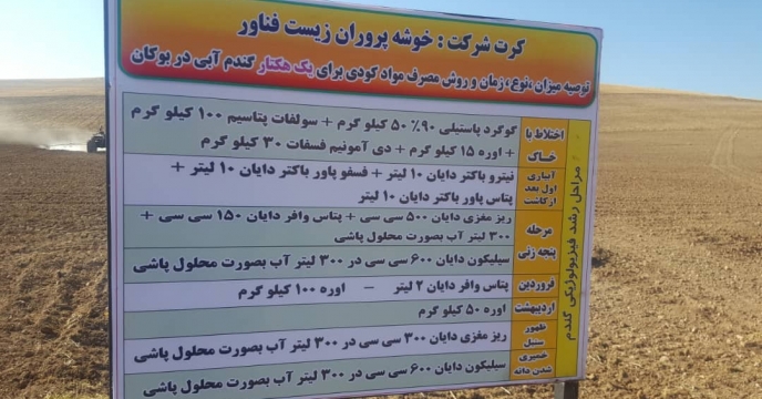 انجام عملیات کاشت مزرعه گندم طرح الگویی پایلوت تغذیه گیاهی استان آذربایجان غربی