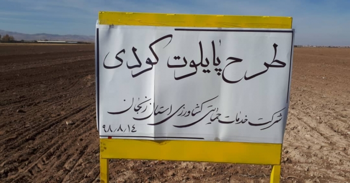 عملیات کاشت مزرعه گندم طرح الگویی پایلوت تغذیه گیاهی استان  زنجان