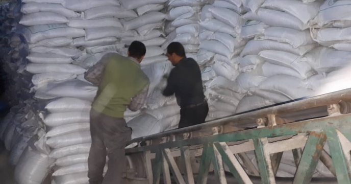تأمین و توزیع 2295 تن سولفات پتاسیم در آذربایجان غربی