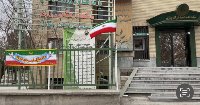 آذین بندی فضای شرکت خدمات حمایتی کشاورزی خراسان رضوی در دهه مبارک فجر