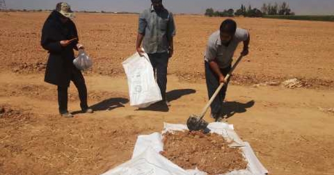 نمونه برداری از خاک مزرعه منتخب واقع در اراک