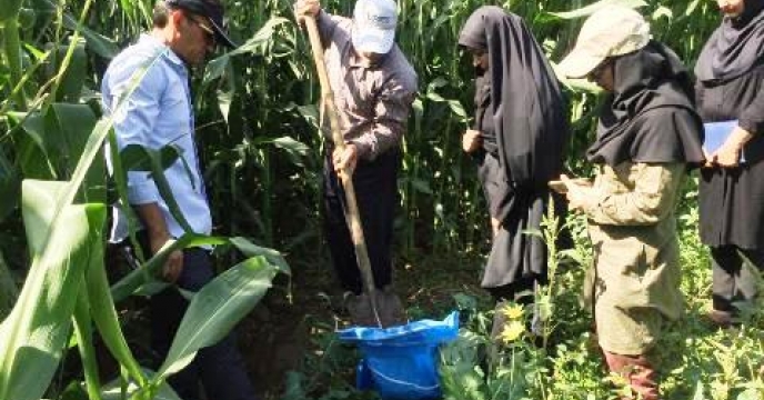 نمونه برداری از خاک مزرعه منتخب واقع در کشت و صنعت شریف آباد قزوین