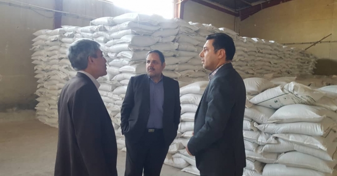 بازدید معاون سازمان جهاد کشاورزی از انبار سازمانی شرکت خدمات حمایتی کشاورزی