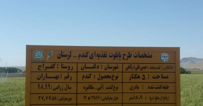 طرح پایلوت تغذیه ایی گندم لرستان