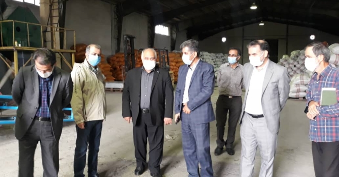 بازدید رئیس سازمان جهاد کشاورزی استان گیلان از مجموعه سایت بذر شرکت خدمات حمایتی کشاورزی گیلان