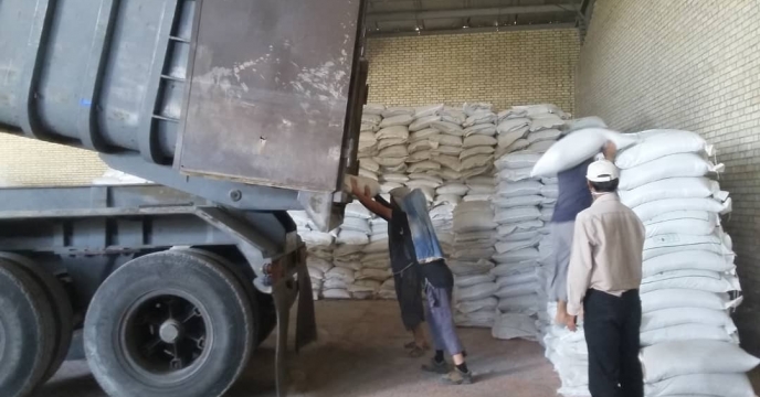 تخلیه کود سوپر فسفات تریپل در انبار سازمانی کود بنداروز شهرستان دشتستان