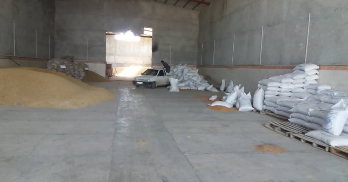 بازدید کار گروه پایش از انبار کارگزاری منتخب شرکت خدمات حمایتی کشاورزی  شهر گناوه