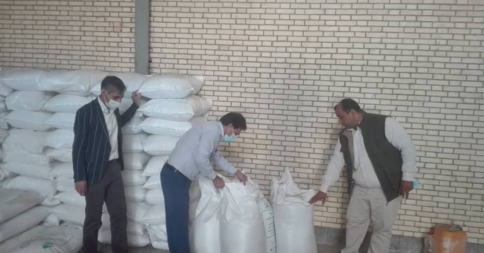 بازدید گروه پایش