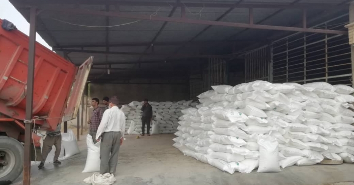 تأمین ۲۳ تن کود شیمیایی اوره در روستای چاهکوتاه شهرستان بوشهر