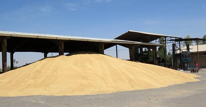 کارشناس معین استان خوزستان برای بازدید دوره ای از دستگاههای بوجاری