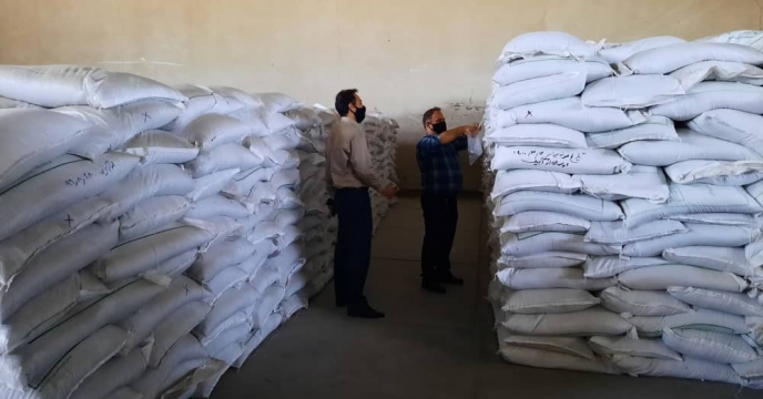 نمونه برداری از کود TSP توسط اعضاء نمونه برداری در البرز