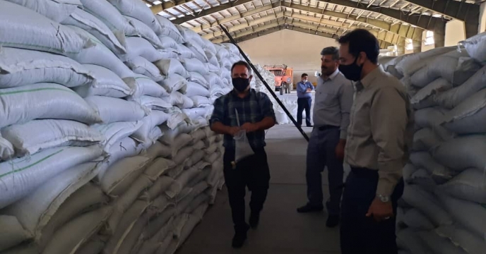نمونه برداری از کودهای TSP در انبار سازمانی البرز