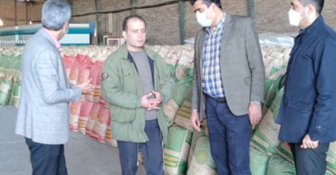 بازدید مدیر فنی و بهبود کیفیت بذر و نهال شرکت خدمات  از مزارع تکثیری بذر گندم و مرکز بوجاری بذر سویای اتحادیه تعاون روستایی شهرستان گرگان