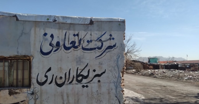 حضور گروه پایش در تعاونی سبزیکاران ری