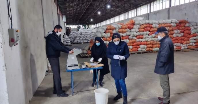 نمونه برداری از بذور تدارک شده جهت ارزیابی های پیش از بوجاری