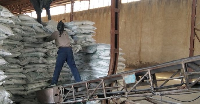 توزیع 224 تن کود فسفات در شهرستان ابهر  برای افزایش بهره‌وری مزارع در استان زنجان