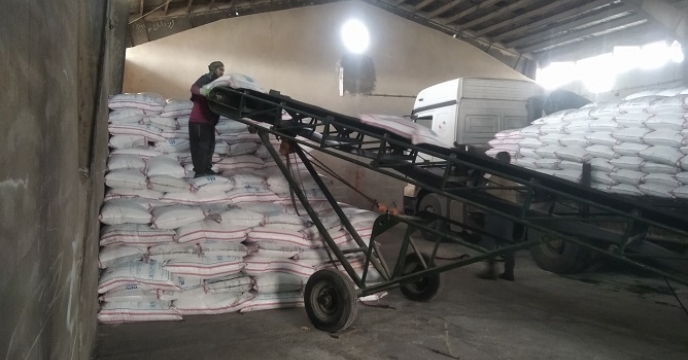 تخلیه 50 تن کود اوره در انبار شرکت خدمات حمایتی کشاورزی استان زنجان