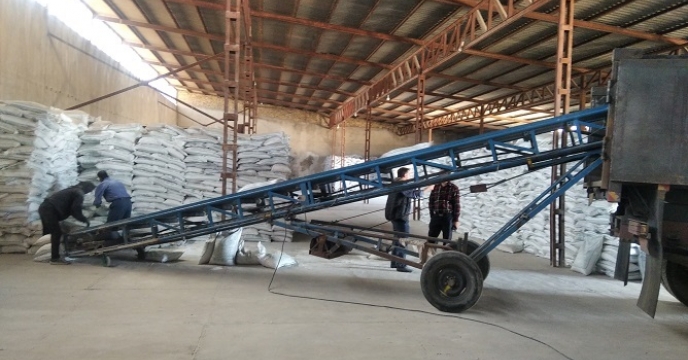 تأمین و توزیع 46 هزار و 377 تن کود اوره توسط شرکت خدمات حمایتی کشاورزی استان زنجان  