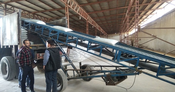 تامین و توزیع 195 تن کود پتاس میان کارگزاریهای ایجرود توسط شرکت خدمات حمایتی کشاورزی استان زنجان 