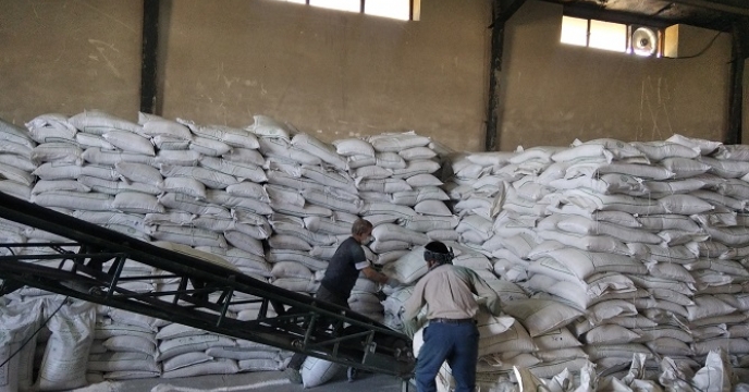 تخصیص بیش از 80 تن کود کشاورزی فسفات در شهرستان زنجان