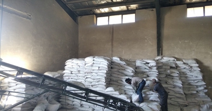 تخصیص  2 هزار و 413 تن کود کشاورزی اوره در شهرستان زنجان