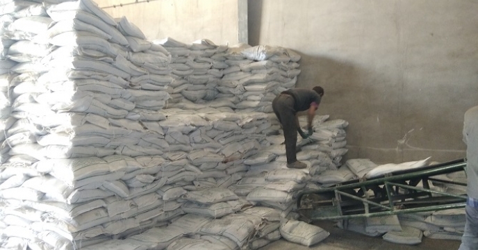 تامین و توزیع 566 تن کود کشاورزی پتاس در شهرستان سلطانیه بر اساس برش کودی کشت بهاره 