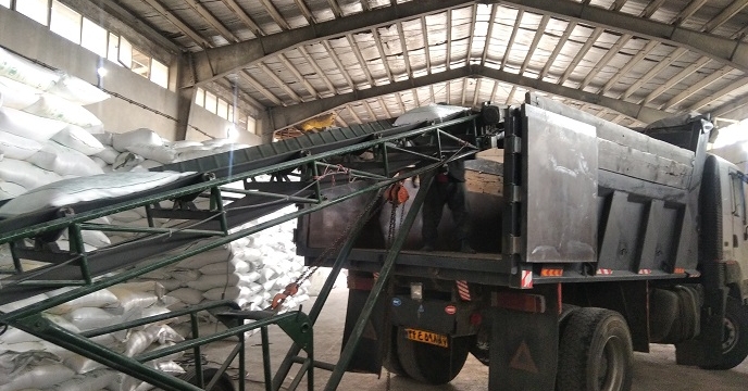 توزیع حدود  2 هزار و 480 تن کود فسفات برای افزایش بهره‌وری مزارع توسط شرکت خدمات حمایتی کشاورزی استان زنجان 