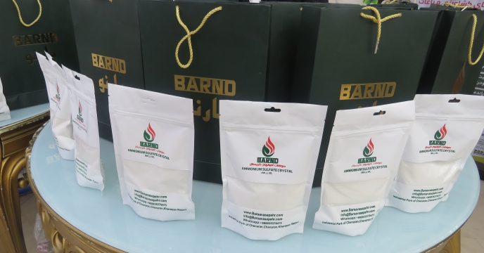 بازدید سرپرست شرکت خدمات حمایتی کشاورزی استان گیلان از سایت بوجاری بذر برنج