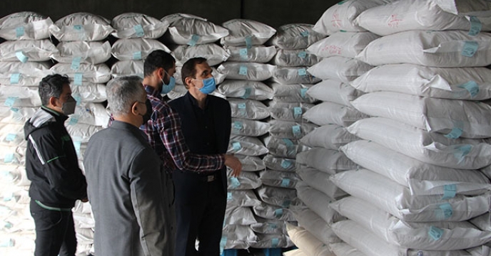 بازدید و سرکشی سرپرست شرکت خدمات حمایتی کشاورزی استان گیلان از سایت بذر استان گیلان