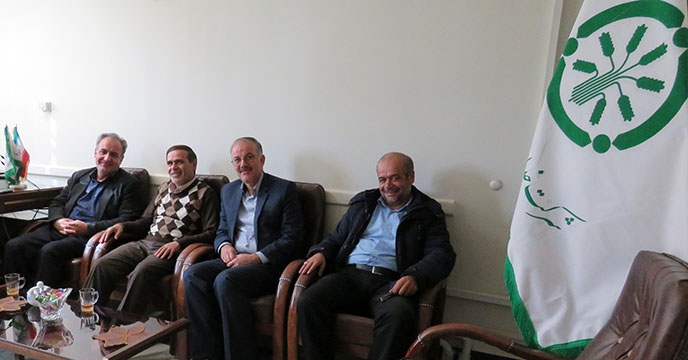 حدود 60 درصد از مطالبات یارانه بذور گندم و جو شرکت خدمات حمایتی کشاورزی استان همدان وصول شد 