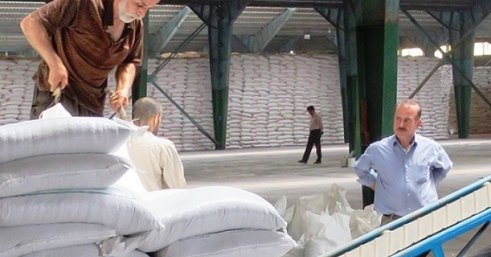 باغداران استان گیلان ( چای، مرکبات، زیتون، فندق، کیوی)  نگران تامین کودهای کشاورزی نباشند 