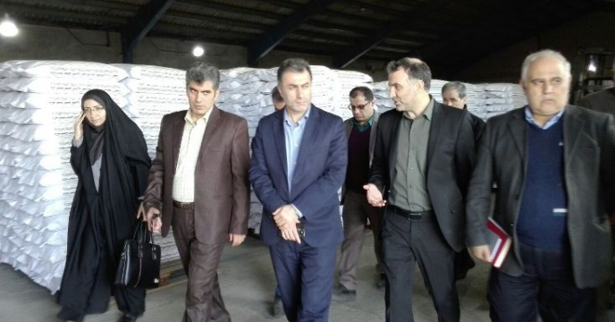 بازدید رئیس سازمان جهاد کشاورزی گیلان از طرح های بزرگ کشاورزی استان