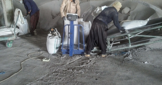 بیش از سیزده هزارودویست وهفتاد تن کودفله دراستان کرمان کیسه گیری شد
