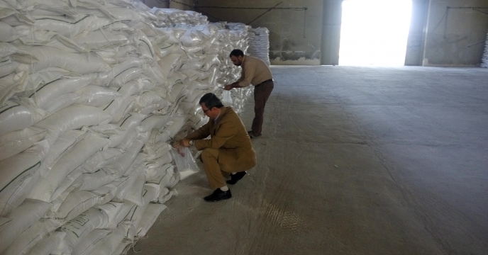 نمونه برداری از کود شیمیایی فسفاته 13%