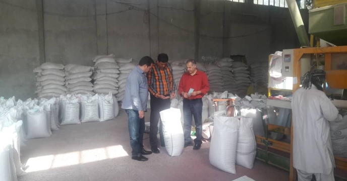 بازدید مدیر امور ماشین آلات از دستگاه های بوجاری